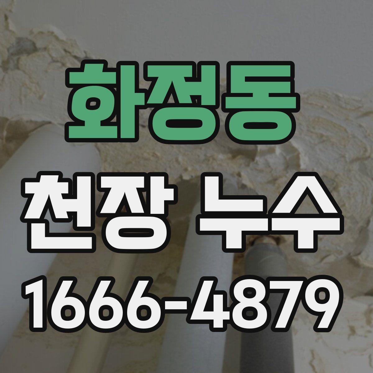화정동 천장 누수