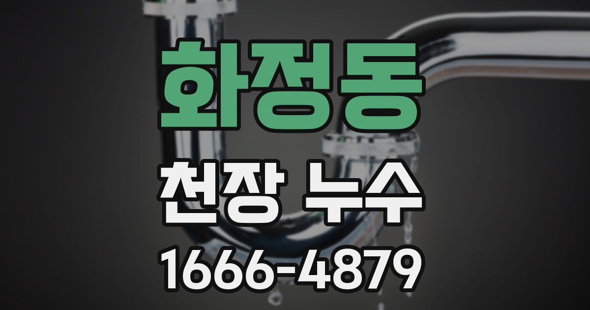 화정동 천장 누수