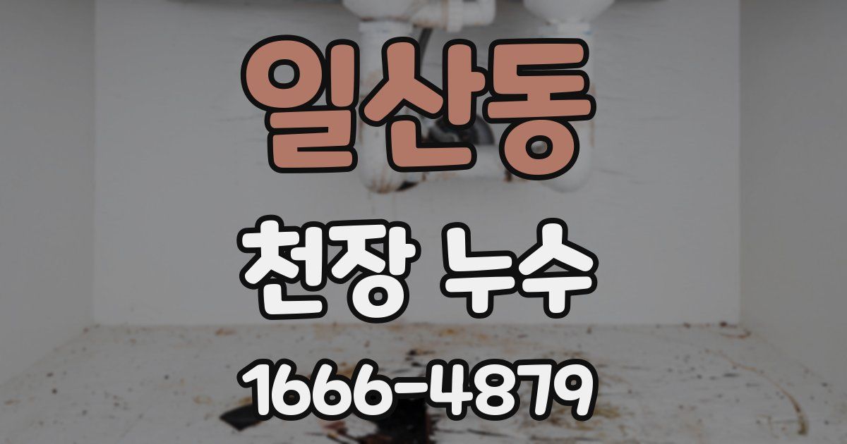 일산동 천장 누수