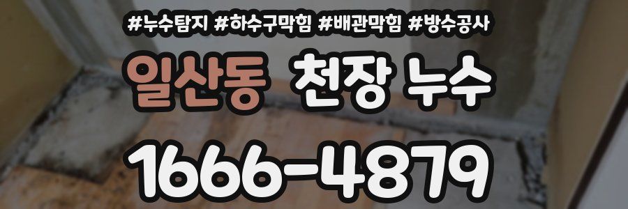 일산동 천장 누수