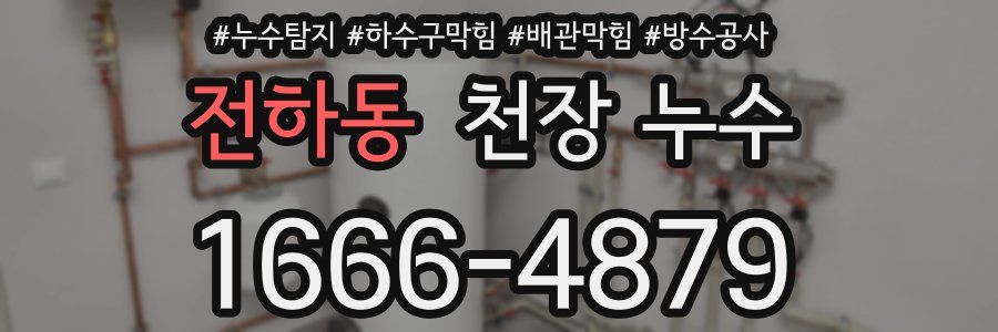 전하동 천장 누수