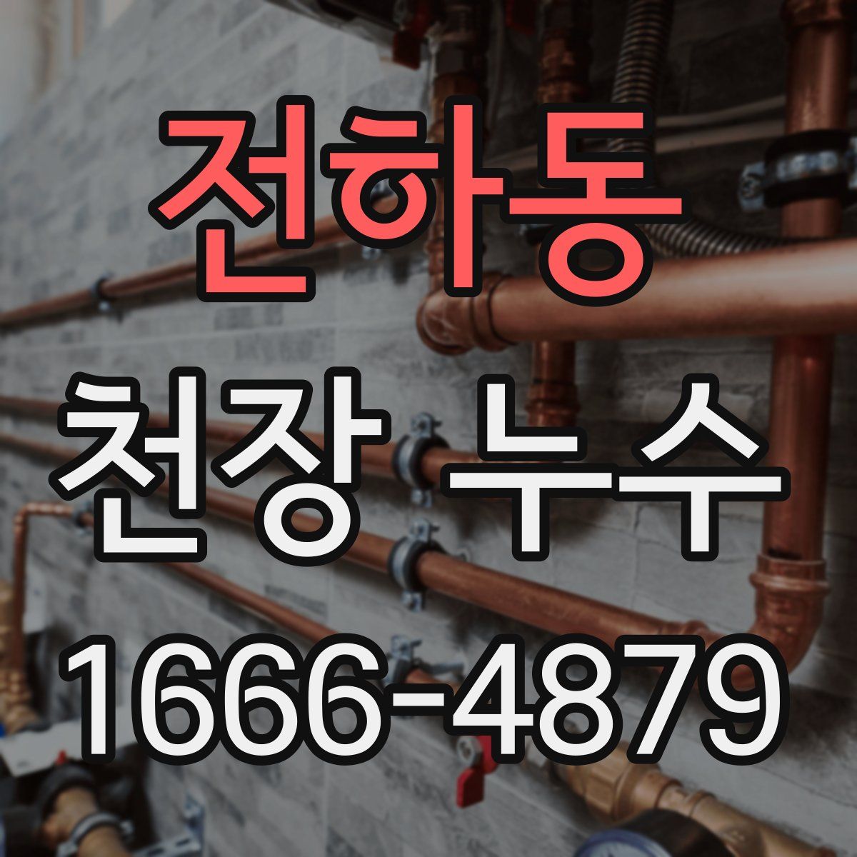 전하동 천장 누수
