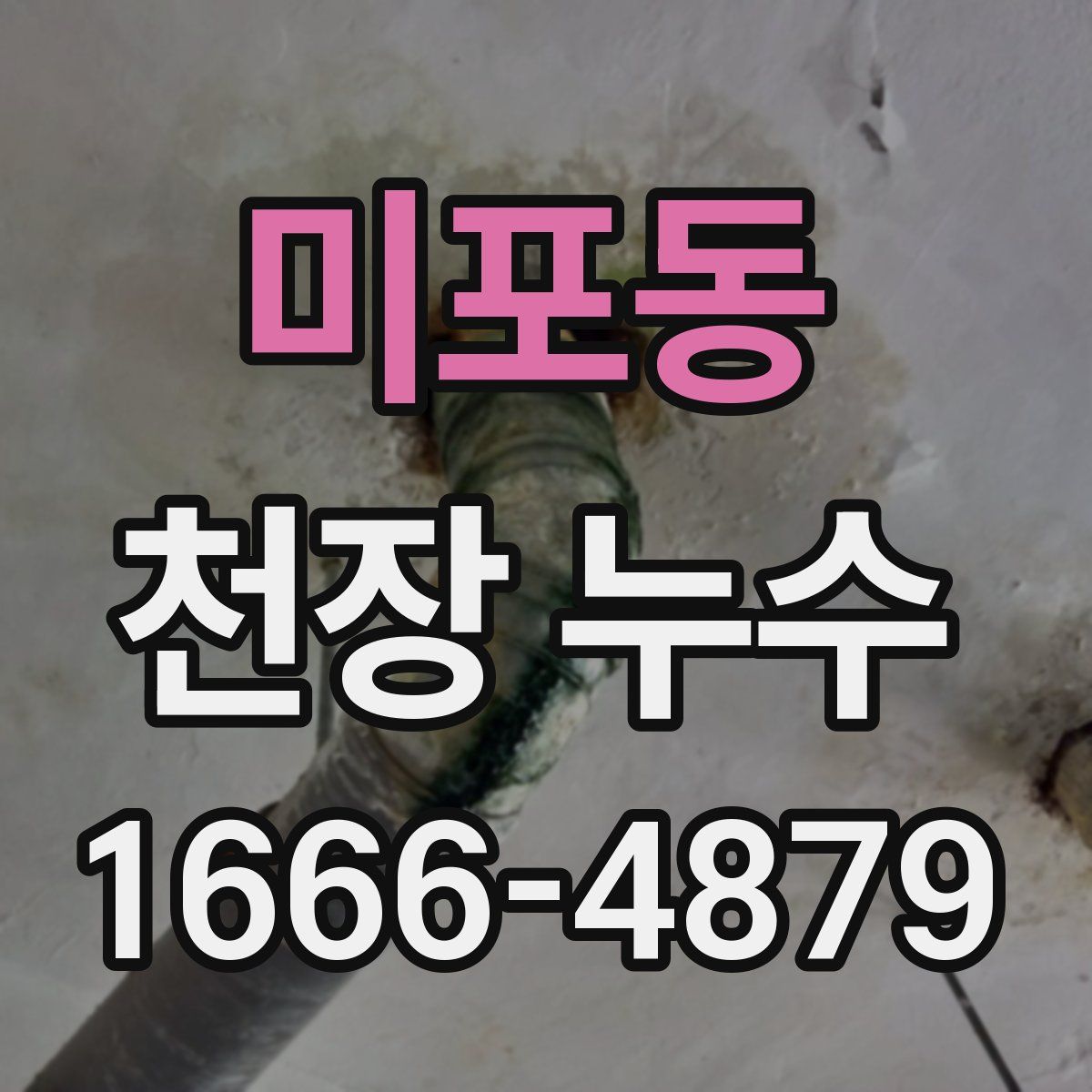 미포동 천장 누수