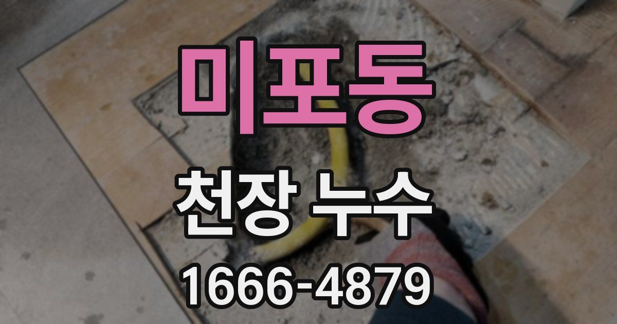 미포동 천장 누수