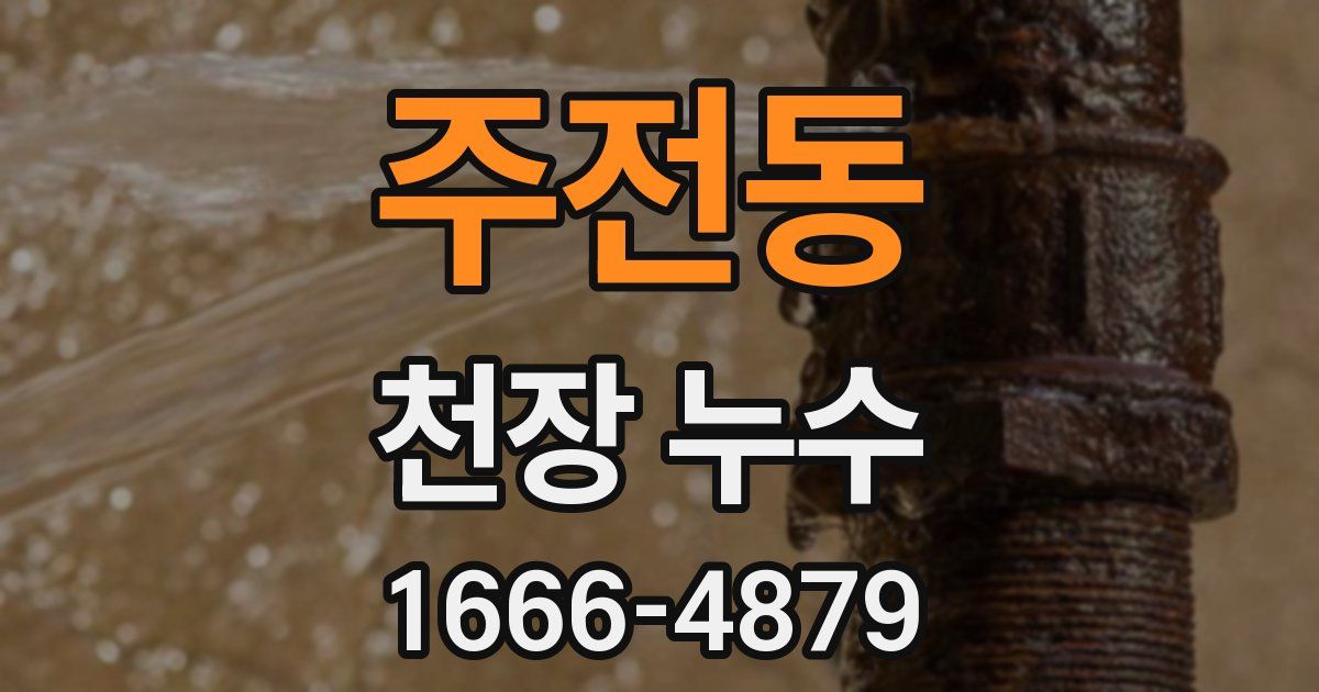 주전동 천장 누수