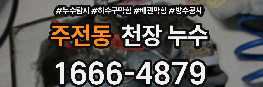 주전동 천장 누수
