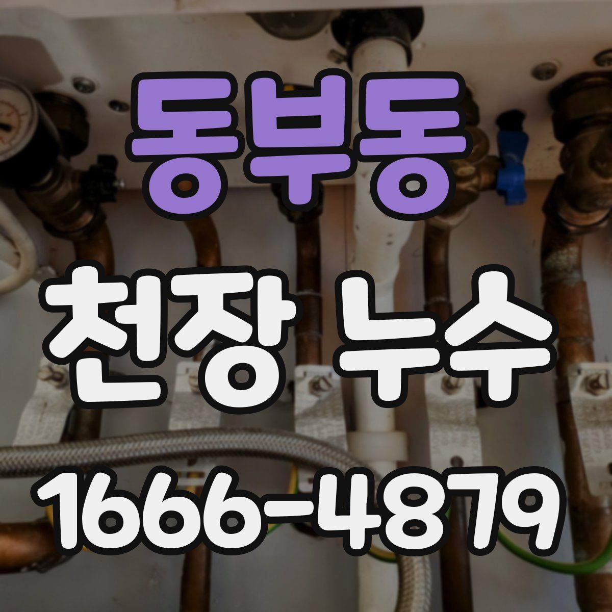 동부동 천장 누수