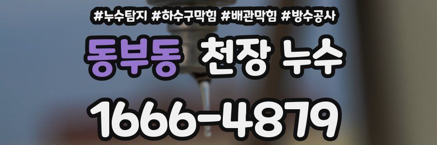 동부동 천장 누수