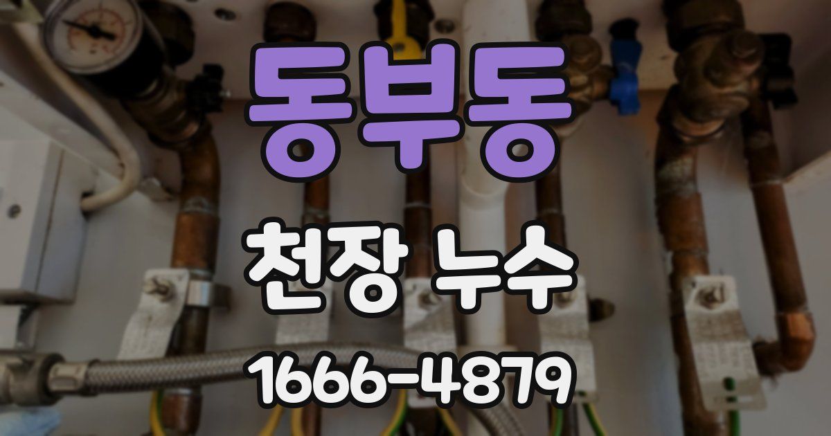 동부동 천장 누수