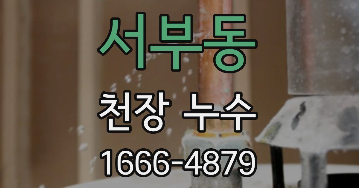 서부동 천장 누수