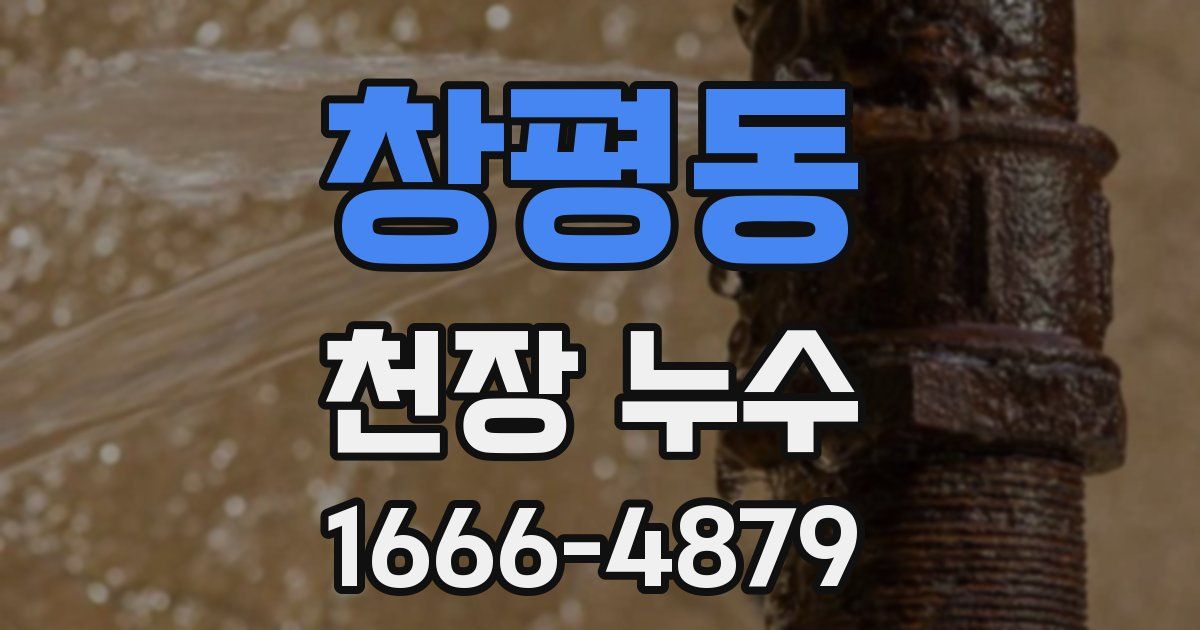 창평동 천장 누수