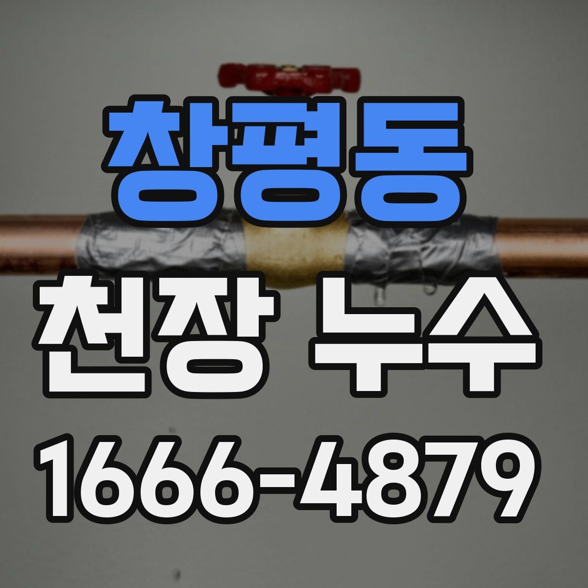 창평동 천장 누수