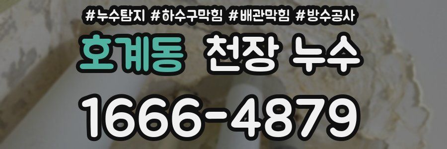 호계동 천장 누수