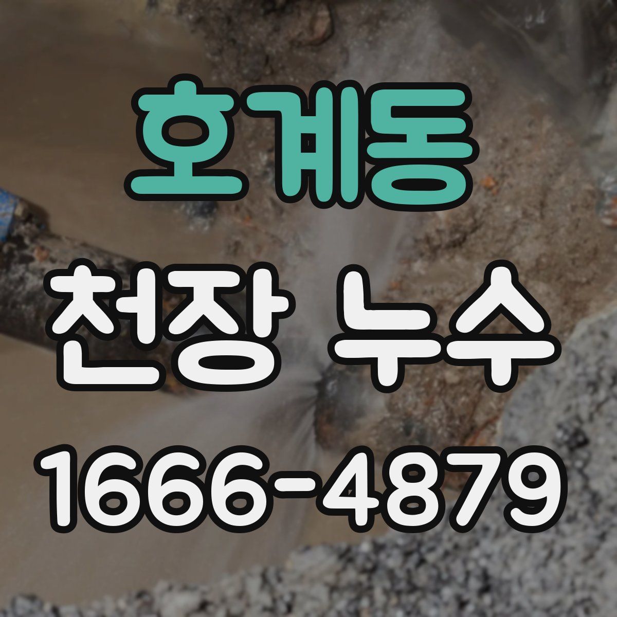 호계동 천장 누수