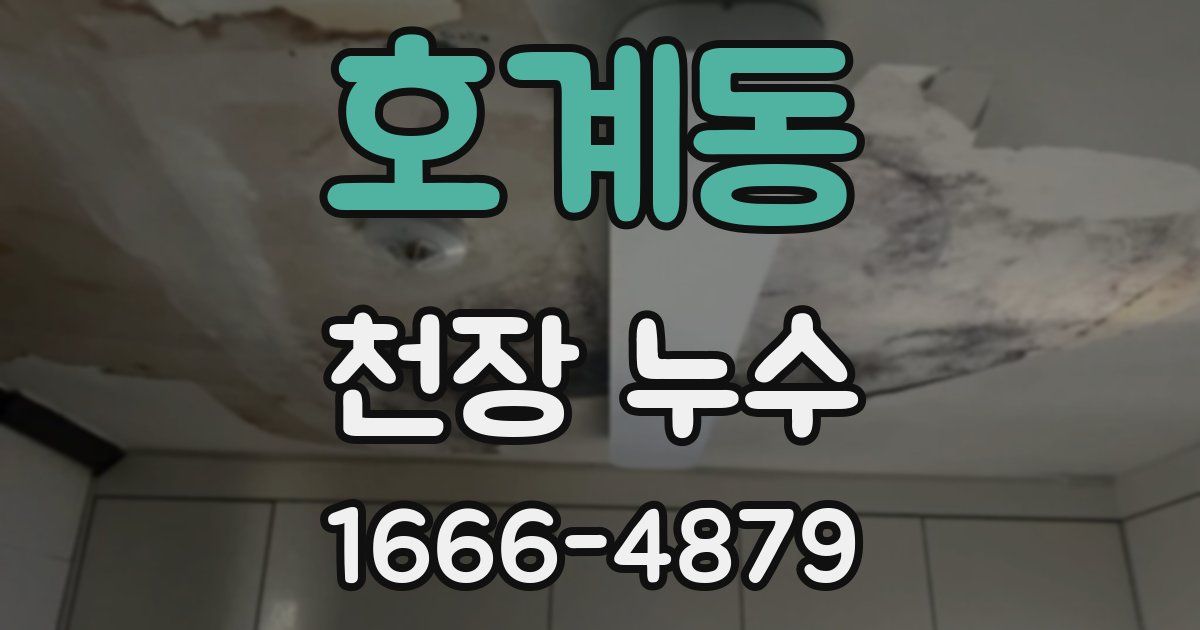 호계동 천장 누수