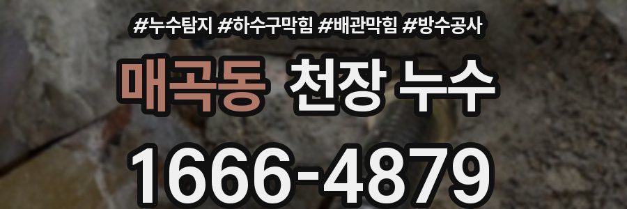 매곡동 천장 누수