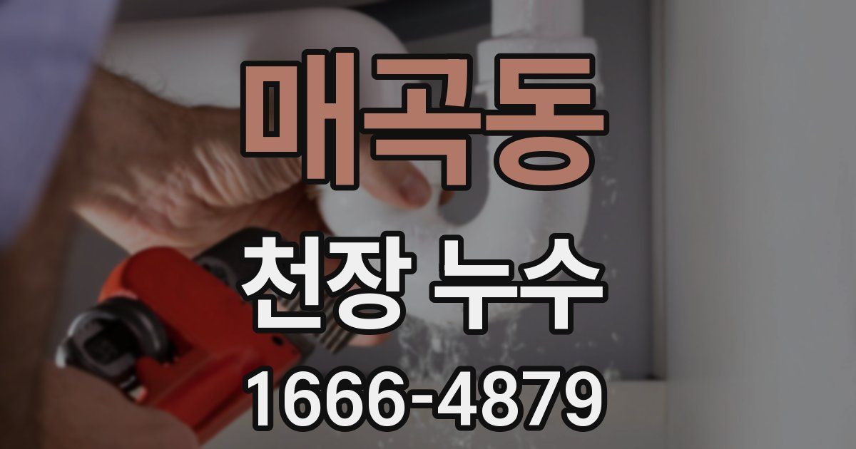 매곡동 천장 누수