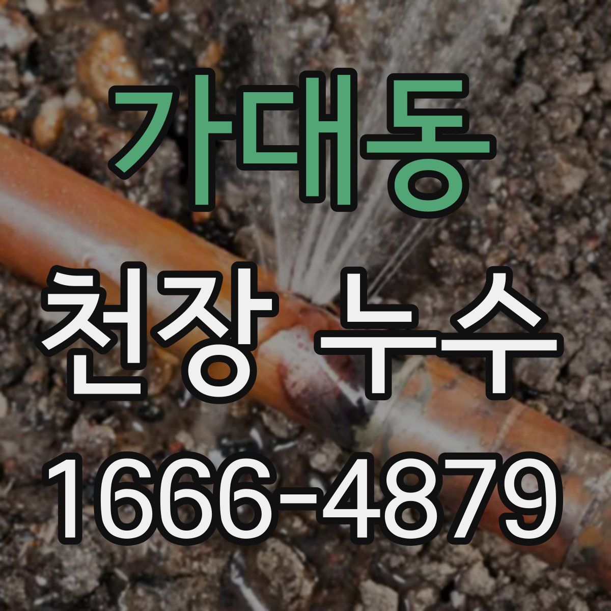 가대동 천장 누수