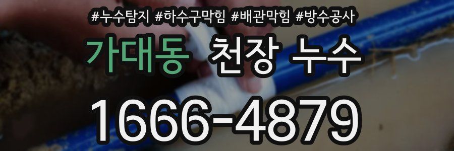 가대동 천장 누수