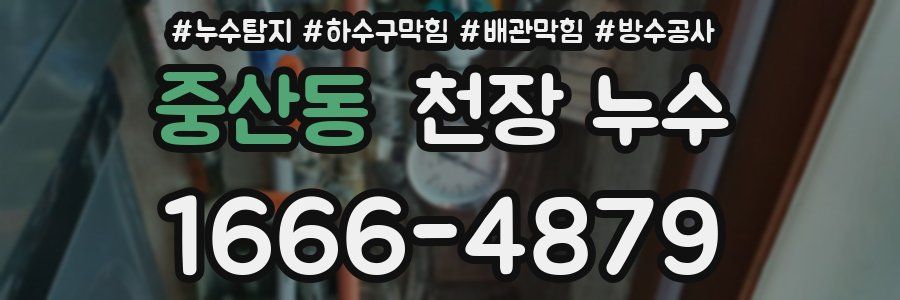 중산동 천장 누수