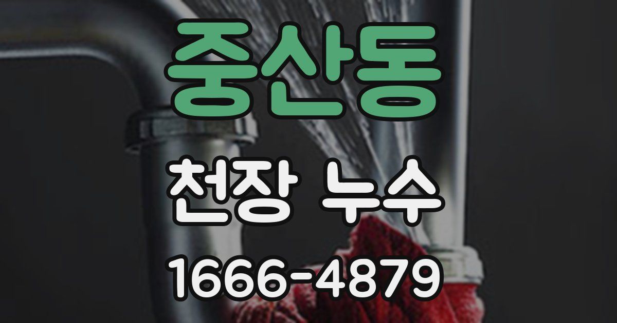 중산동 천장 누수
