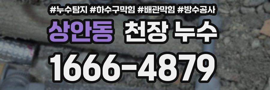 상안동 천장 누수