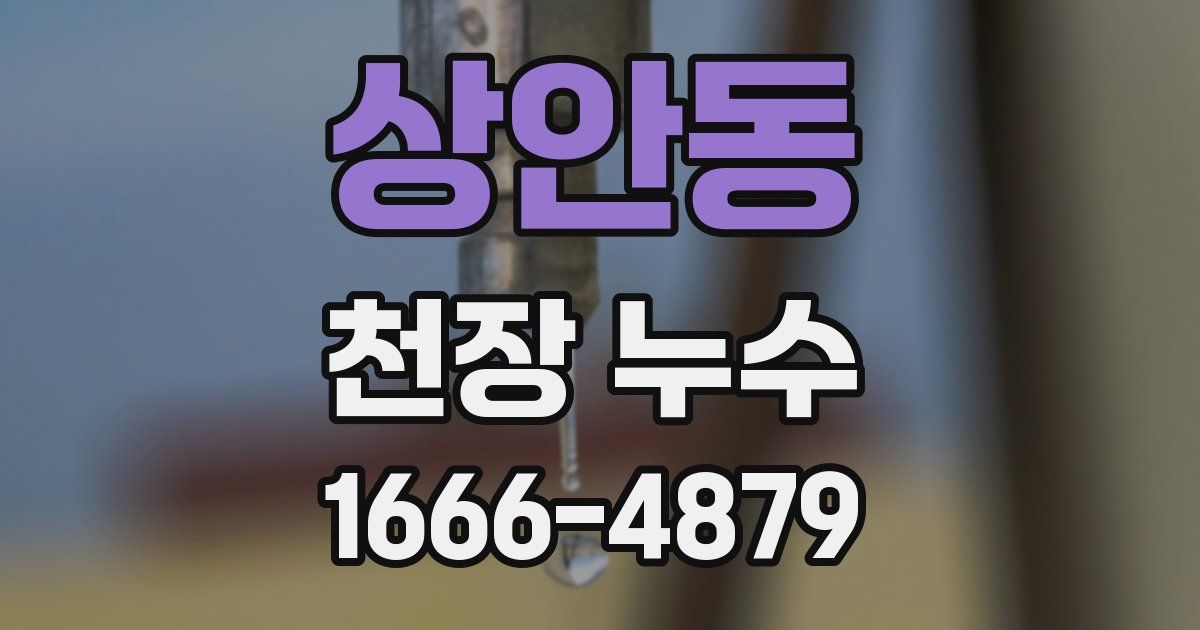 상안동 천장 누수