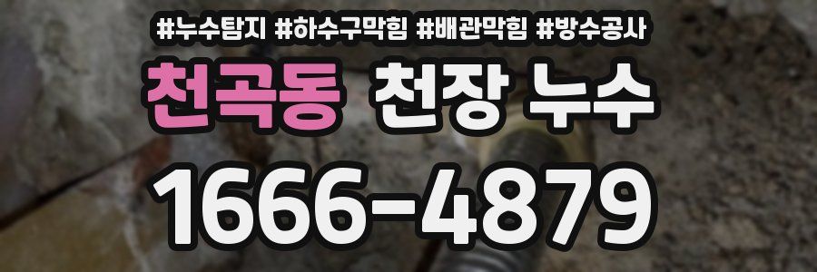 천곡동 천장 누수