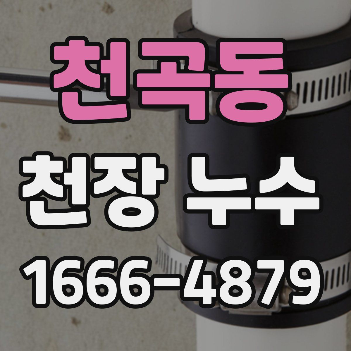 천곡동 천장 누수