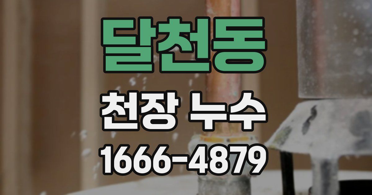 달천동 천장 누수