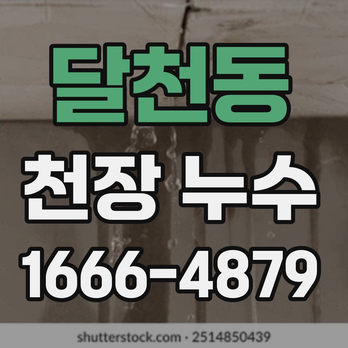 달천동 천장 누수