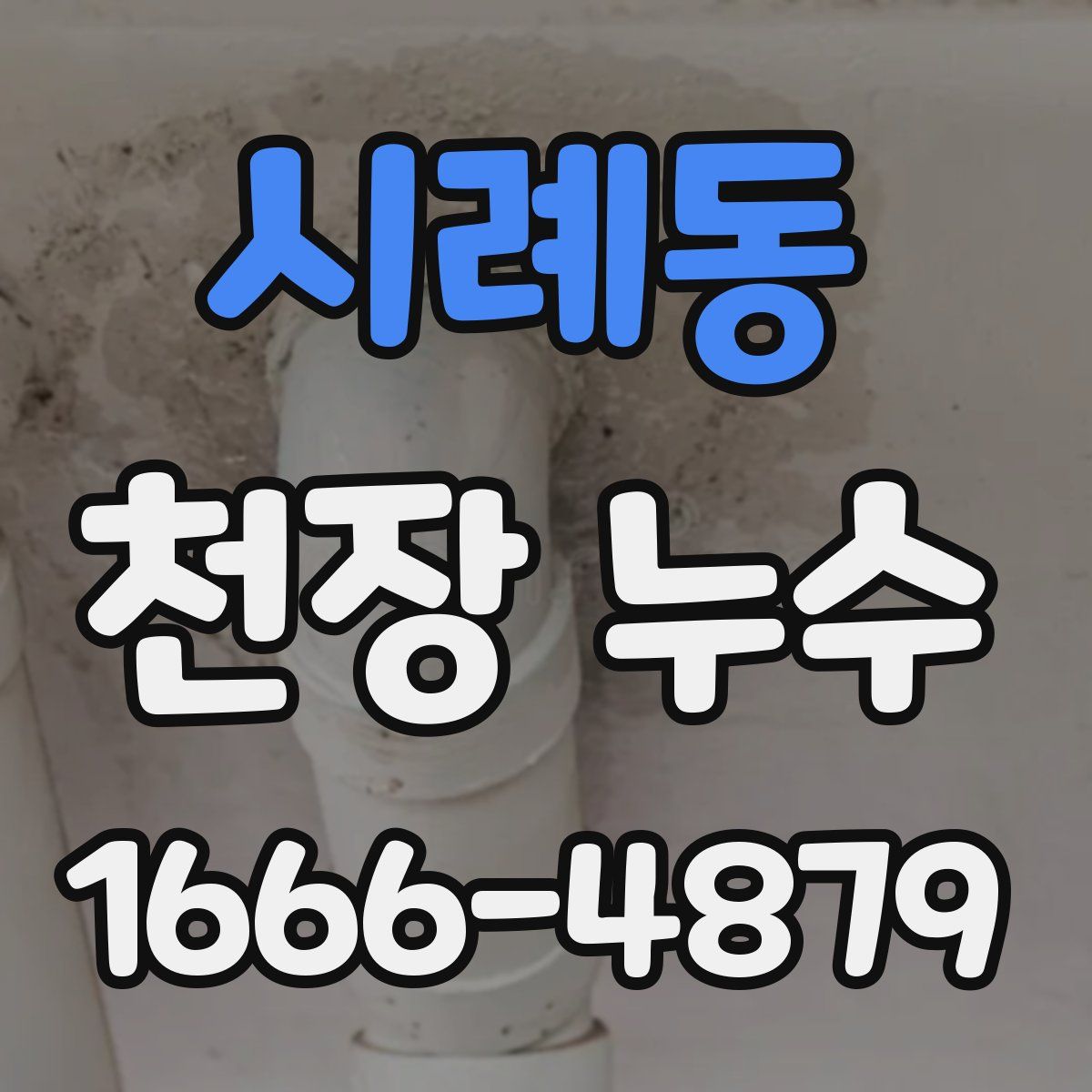시례동 천장 누수