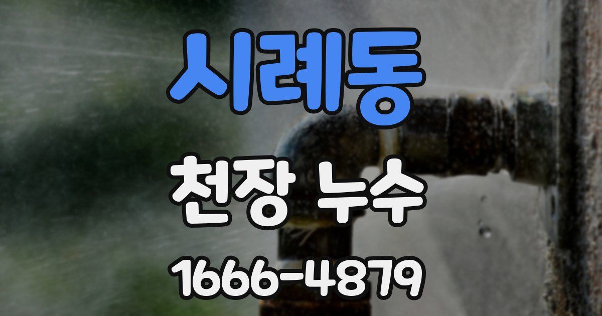 시례동 천장 누수