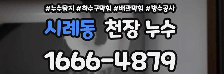 시례동 천장 누수