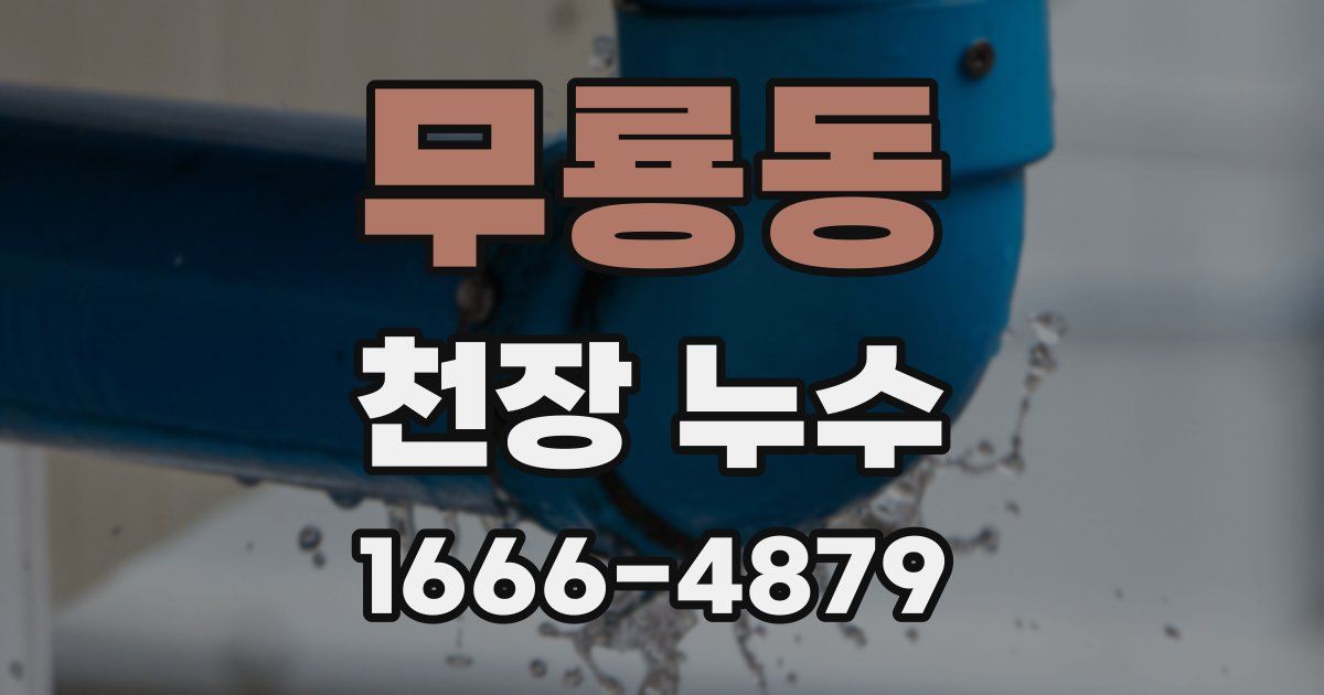 무룡동 천장 누수