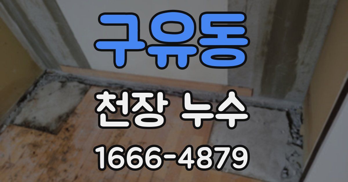 구유동 천장 누수