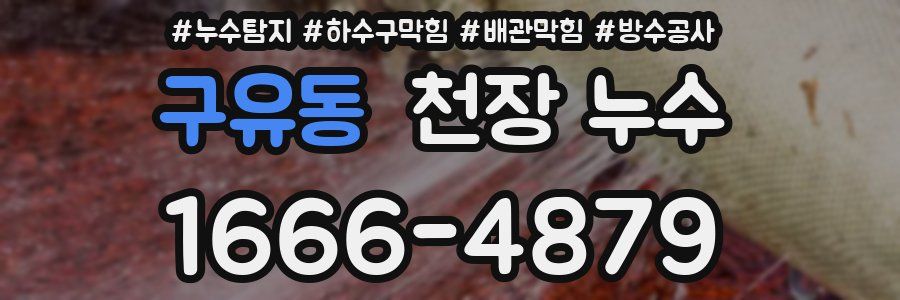 구유동 천장 누수