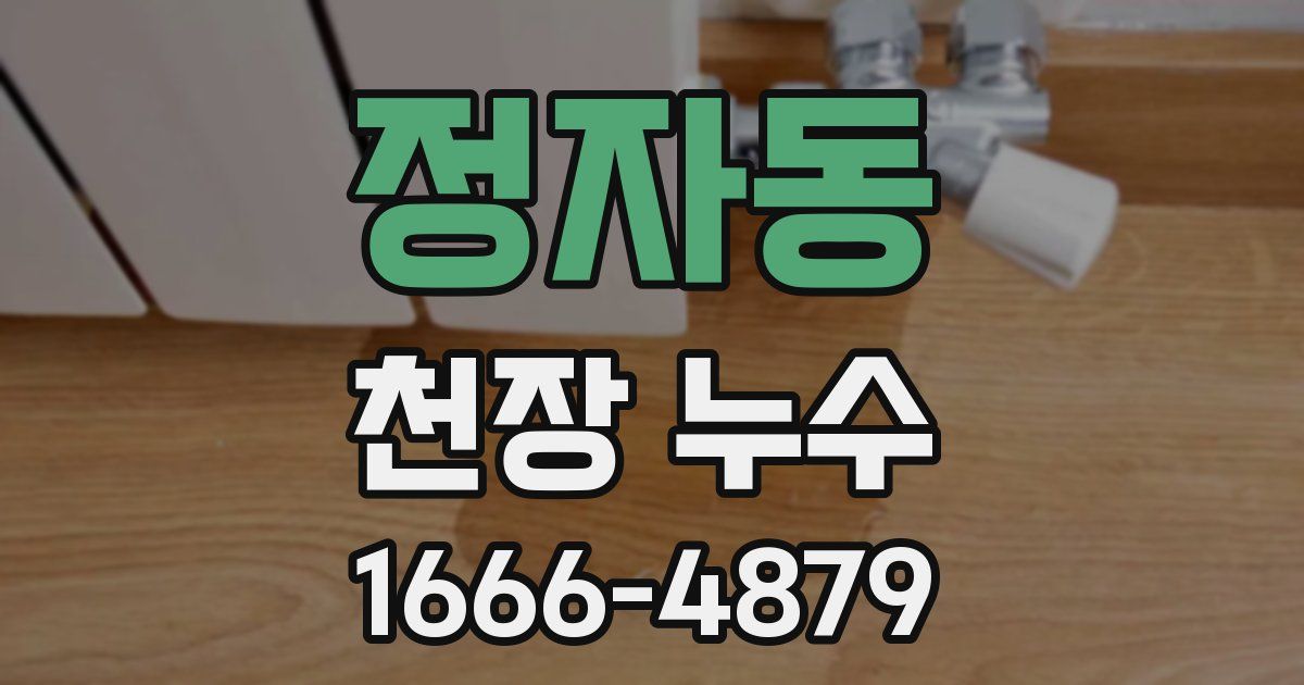 정자동 천장 누수