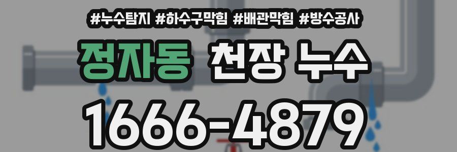 정자동 천장 누수