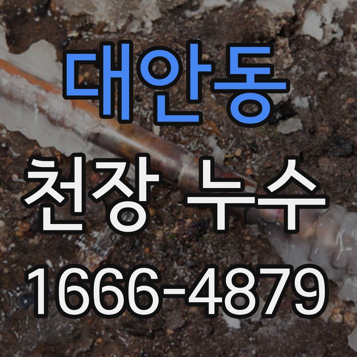 대안동 천장 누수