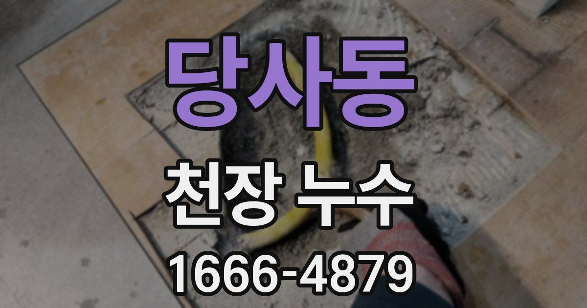 당사동 천장 누수