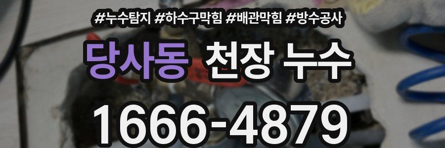당사동 천장 누수