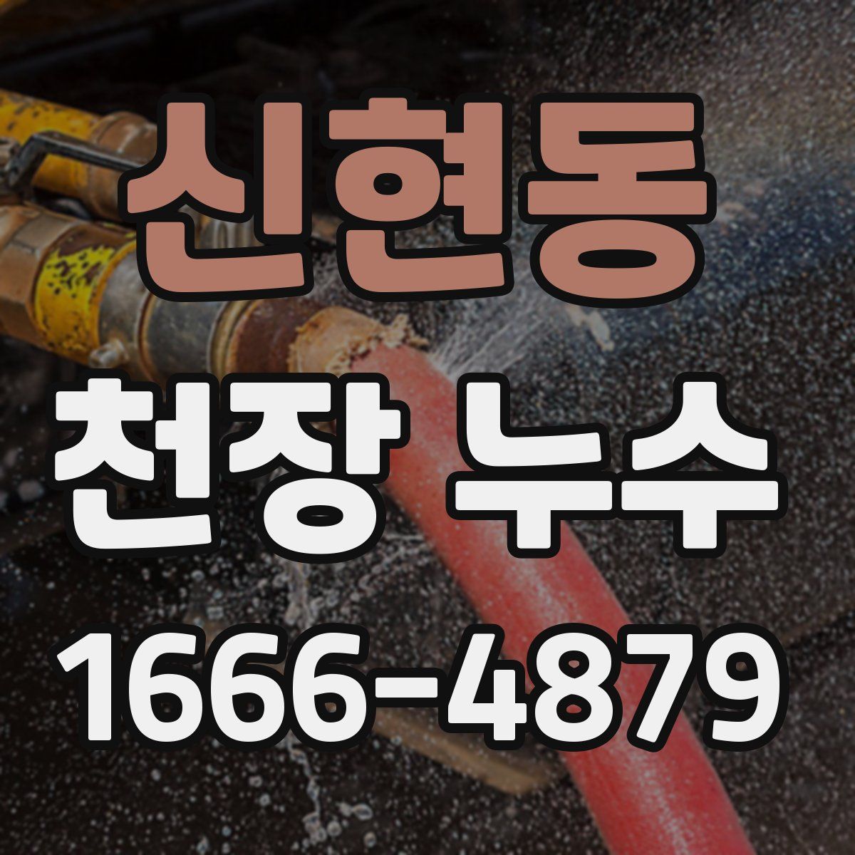 신현동 천장 누수