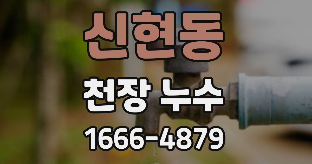 신현동 천장 누수