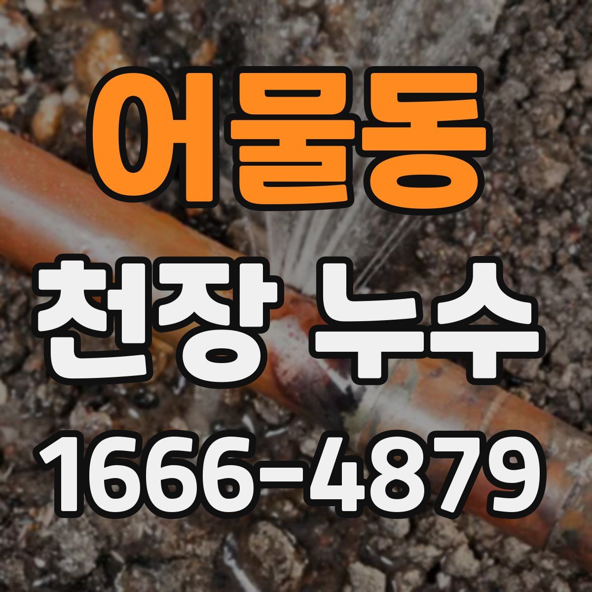 어물동 천장 누수