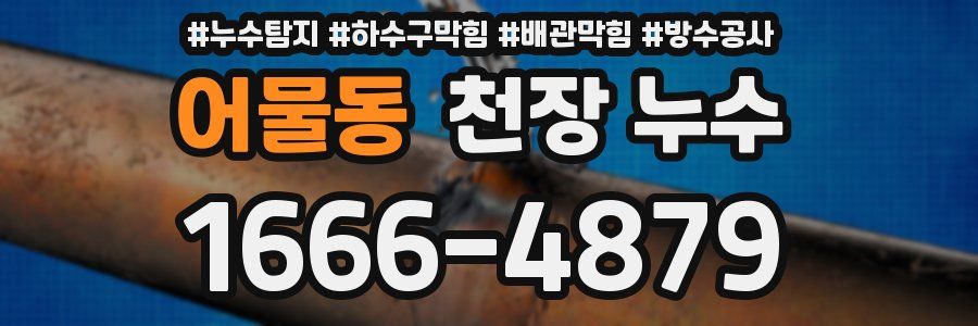 어물동 천장 누수
