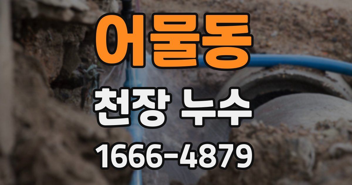 어물동 천장 누수