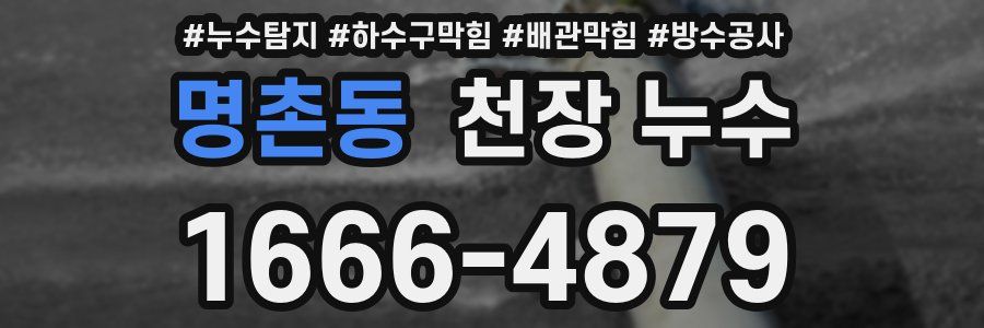 명촌동 천장 누수
