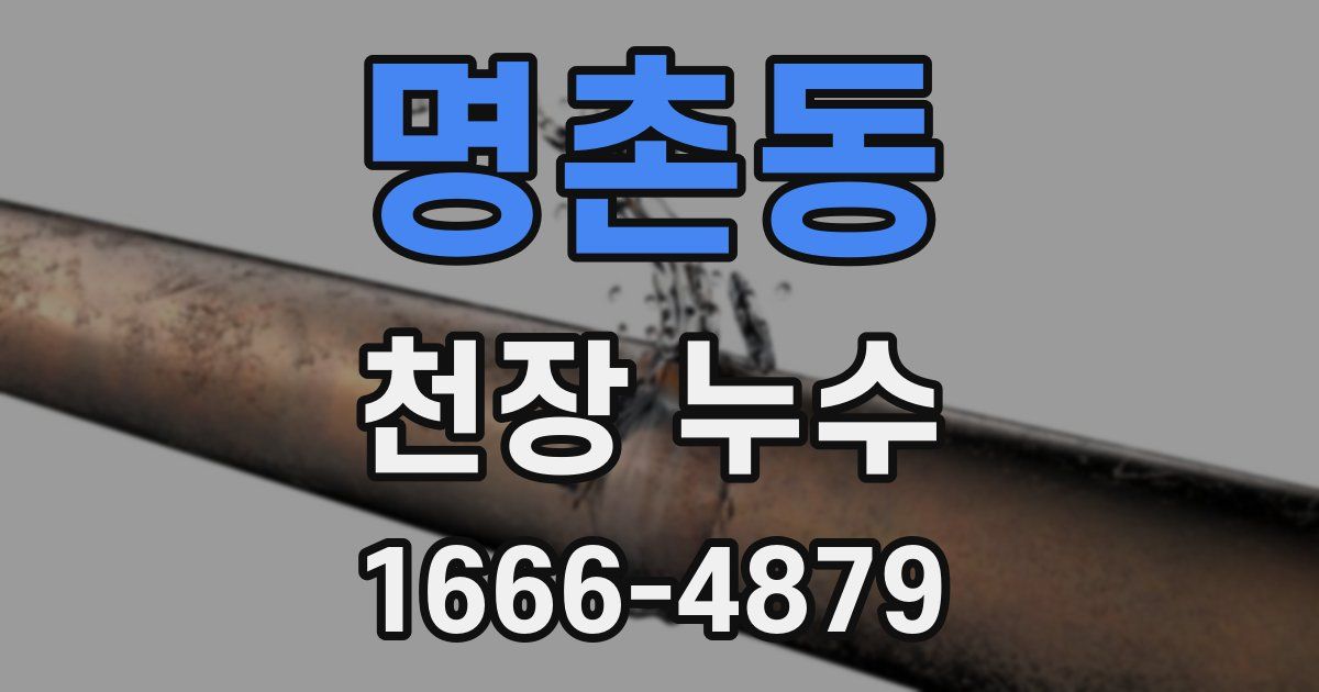 명촌동 천장 누수