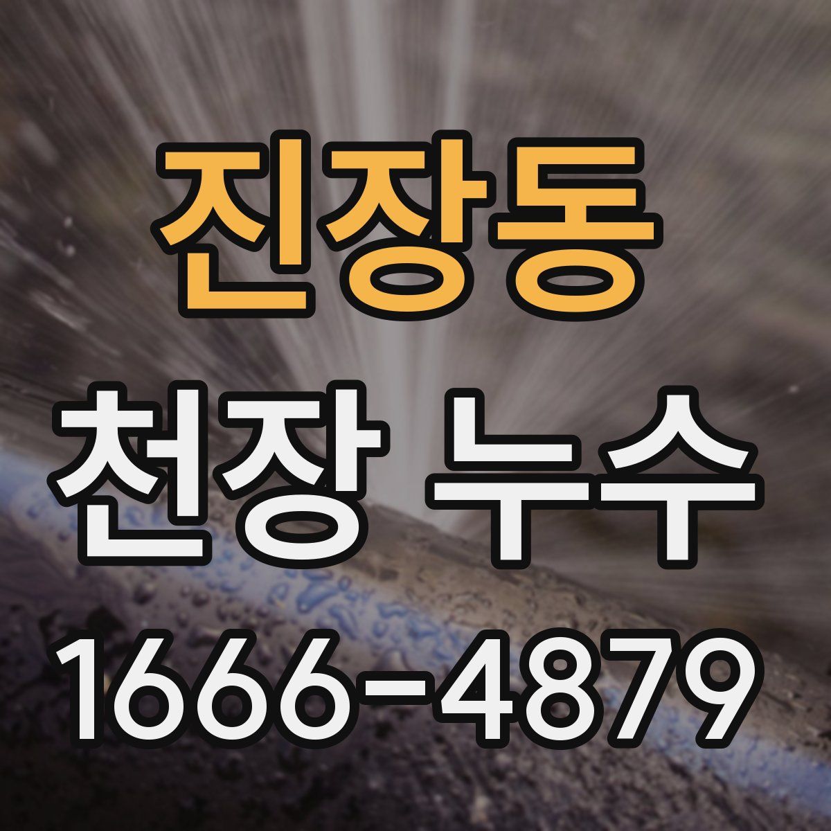 진장동 천장 누수